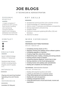 Professional Curriculum Vitae (CV) Writing: The solution to getting a new job quickly without much stress and uncertainty.