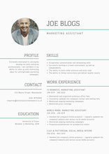 Load image into Gallery viewer, Professional Curriculum Vitae (CV) Writing: The solution to getting a new job quickly without much stress and uncertainty.