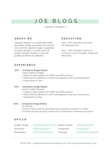 Load image into Gallery viewer, Professional Curriculum Vitae (CV) Writing: The solution to getting a new job quickly without much stress and uncertainty.