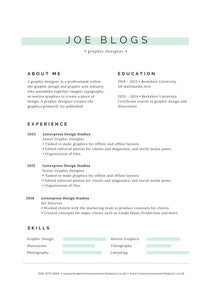 Professional Curriculum Vitae (CV) Writing: The solution to getting a new job quickly without much stress and uncertainty.
