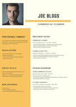 Load image into Gallery viewer, Professional CV writing with Restore Your Inner Balance Co